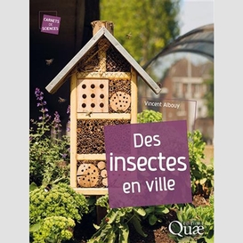 Des insectes en ville