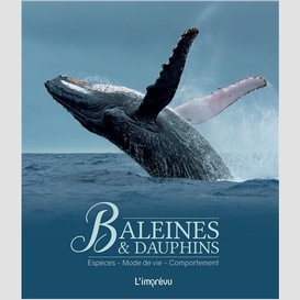 Baleines et dauphins