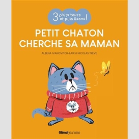 Petit chaton cherche sa maman