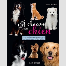 A chacun son chien