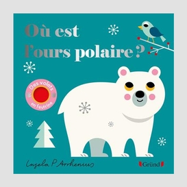 Ou est l'ours polaire