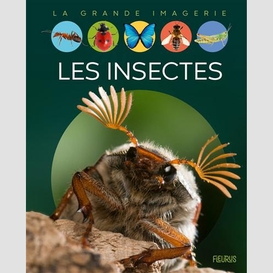 Insectes (les)