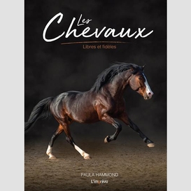 Chevaux (les)