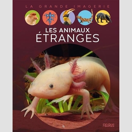 Animaux etranges (les)