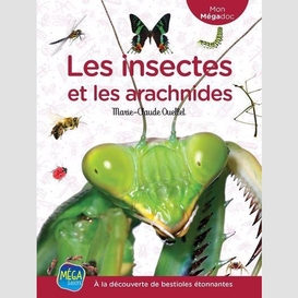 Insectes et les arachnides (les)