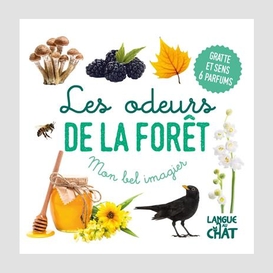 Odeurs de la foret (les)