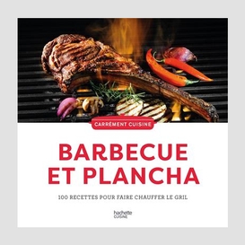 Barbecue et plancha