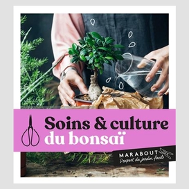 Soins et culture du bonsai