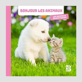 Animaux domestiques (les)