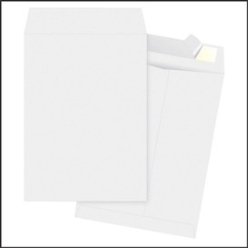 100/bte enveloppe tyvek 10x15