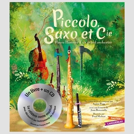 Piccolo saxo et cie  livre + cd