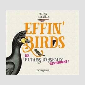 Effin'birds putains oiseaux reviennent