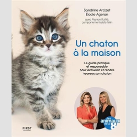 Un chaton a la maison