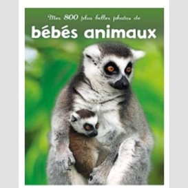 Bebes animaux