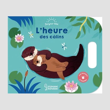 Petit calin de loutre