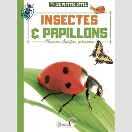 Insectes et papillons