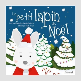 Petit lapin de noel (le)