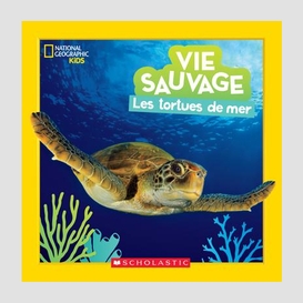 Vie sauvage les tortues de mer