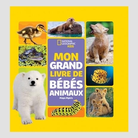 Mon grand livre de bebes animaux