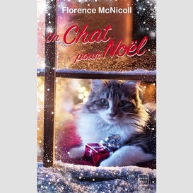 Un chat pour noel