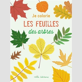 Les feuilles des arbres