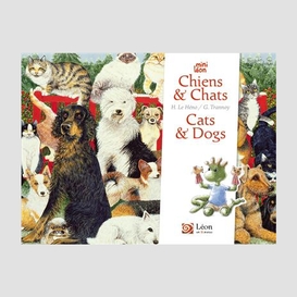 Chiens et chats / cats and dogs