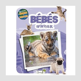 Bebes animaux