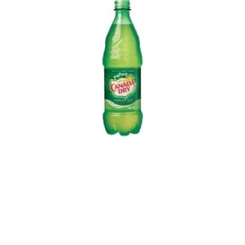 24/bte soda gingembre de canada dry