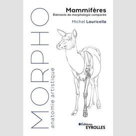 Morpho mammiferes