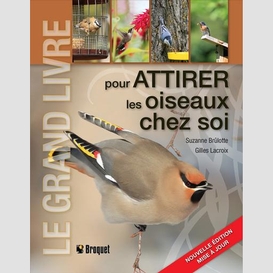 Attirer les oiseaux chez soi