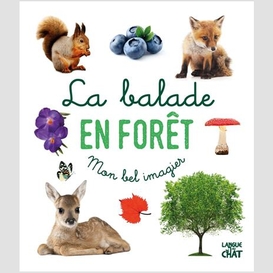 Balade en foret (la)