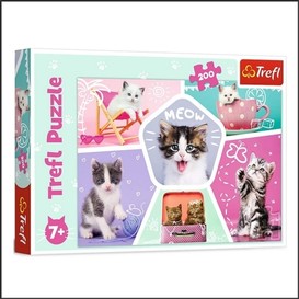 Casse-tete 200mcx - farces feline