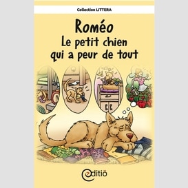 Roméo - le petit chien qui a peur de tout