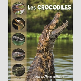 Crocodiles (les)