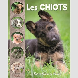 Chiots (les)