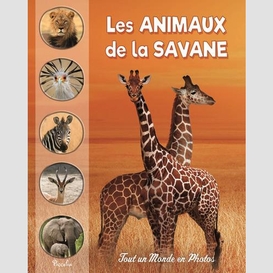 Animaux de la savane (les)