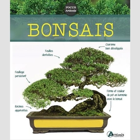 Bonsais