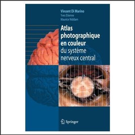 Atlas photographique couleur systeme ner