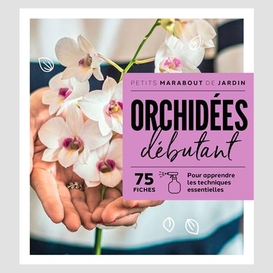 Orchidees debutant