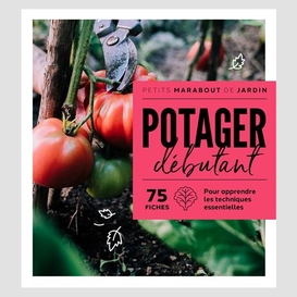 Potager debutant