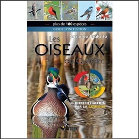 Oiseaux du quebec (les)