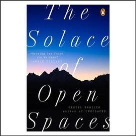The solace of open space