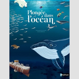 Plongee dans l'ocean