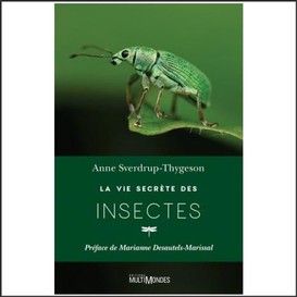 La vie secrète des insectes