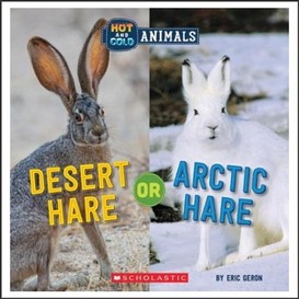 Desert hare or arctic hare