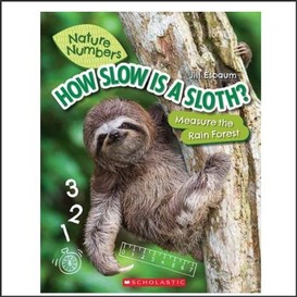 How slow is a sloth
