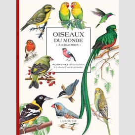 Oiseaux du monde a colorier