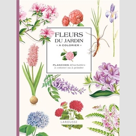 Fleurs du jardin a colorier