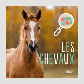 Chevaux (les)