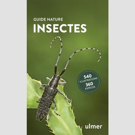 Insectes